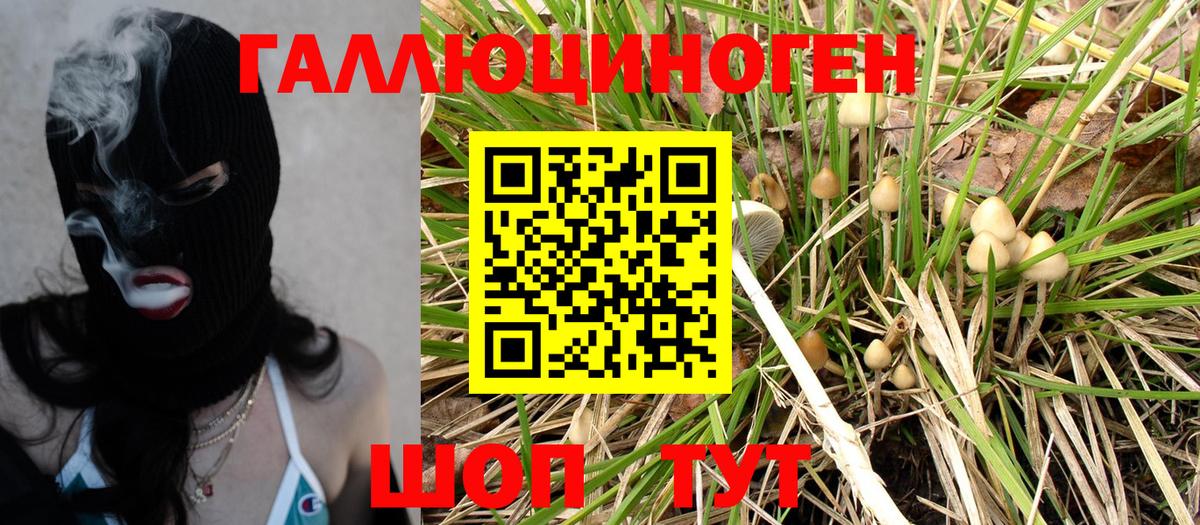 Псилоцибиновые грибы Magic Shrooms  Вход с VPN  Ноябрьск 