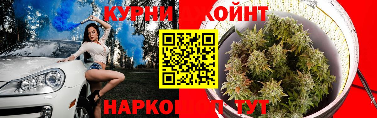 Шишки марихуана сатива Ноябрьск